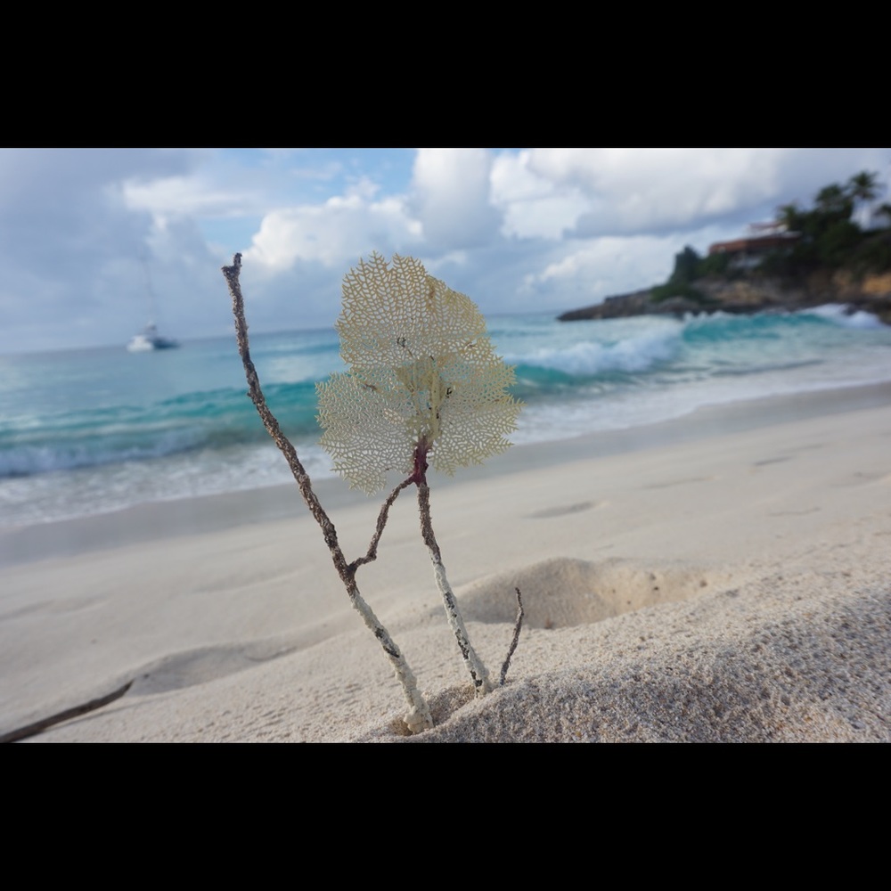 Meet your Posher, SG